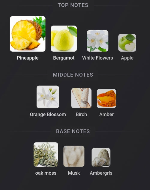 Afnan Supremacy Collectors Edition Fragrance Notes and Samples