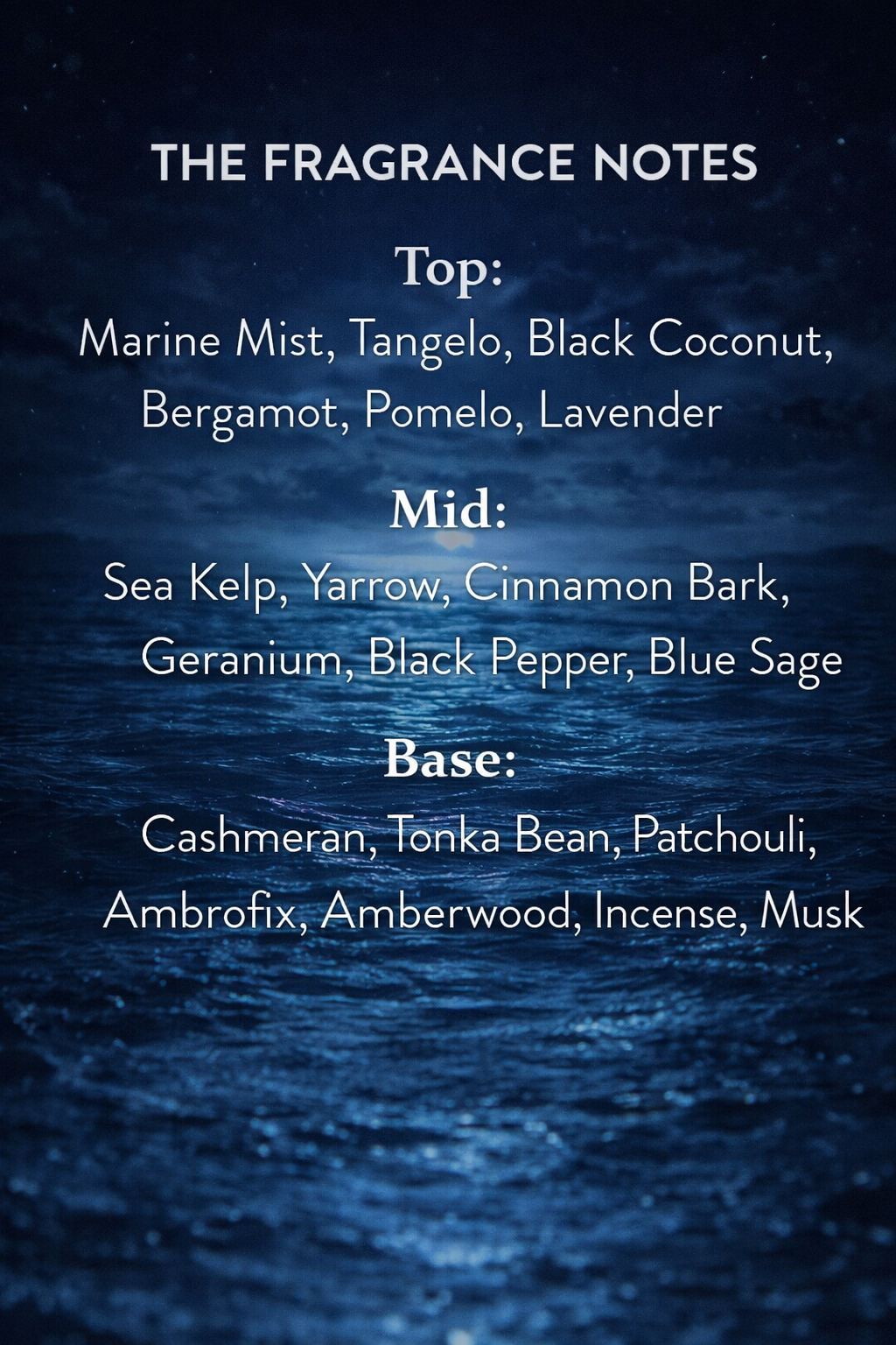 Michael Malul Ocean Noir Parfum (March 2026)